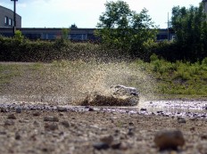 Traxxas E-Maxx Dual Titan 775 auf der "Seenplatte"