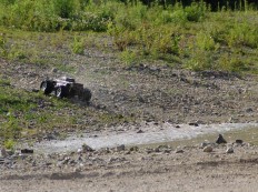 Traxxas E-Maxx Dual Titan 775 auf der "Seenplatte"